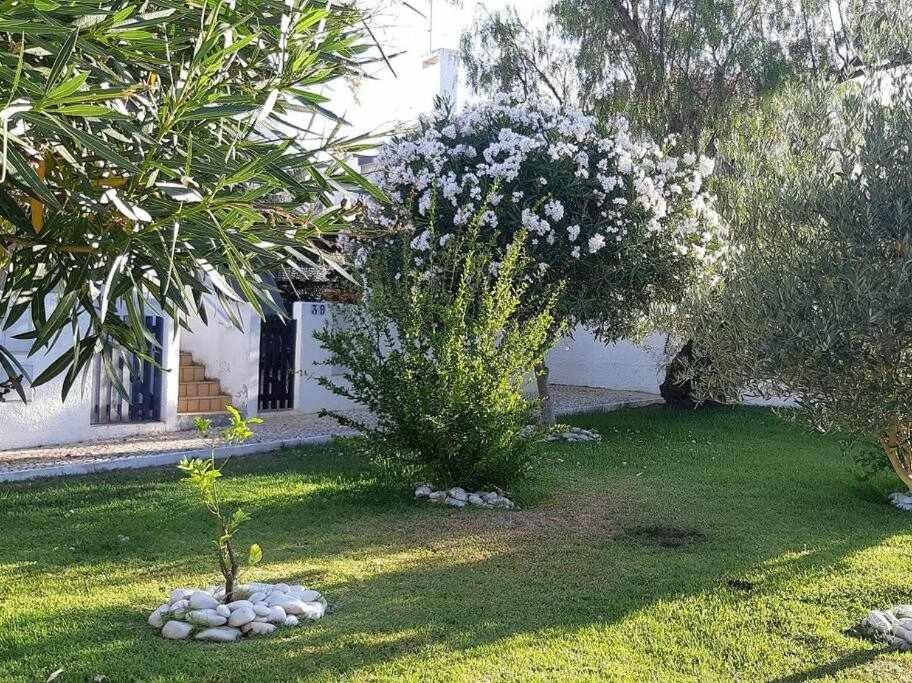 Green House By Fhr Estacionamento E Wifi Quarteira Εξωτερικό φωτογραφία